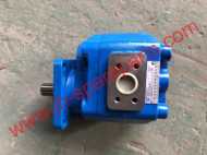 CHANGLIN 957H Wheel Loader Gear Pump,Walking Pump W-01-00147,JHP3160